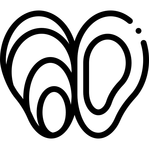 Mussel mussel sea food food icon