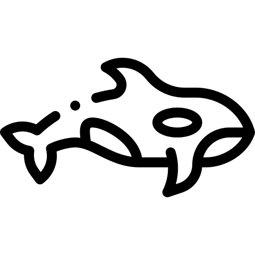Orca animals sea life animal icon