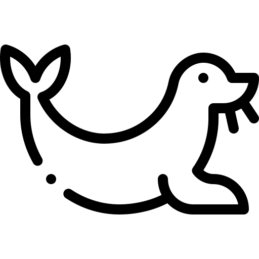 Seal nature fauna mammal icon