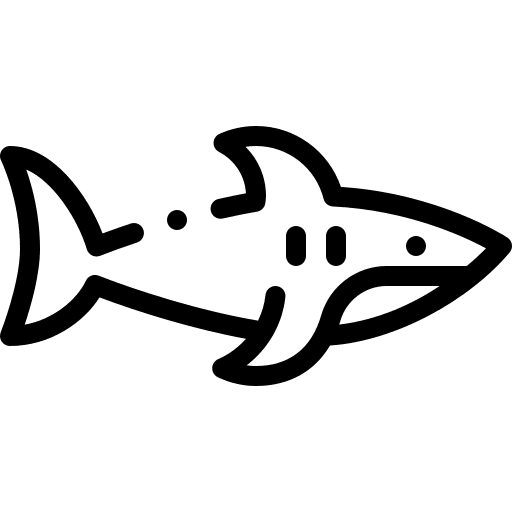 Shark animal kingdom animals aquatic icon