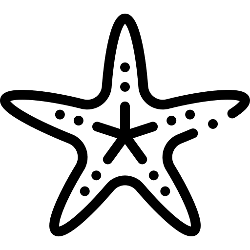 Starfish animals echinoderm starfish icon