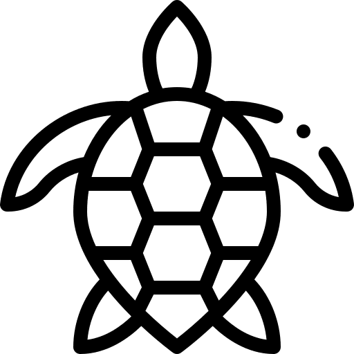 Turtle turtle animals wildlife icon