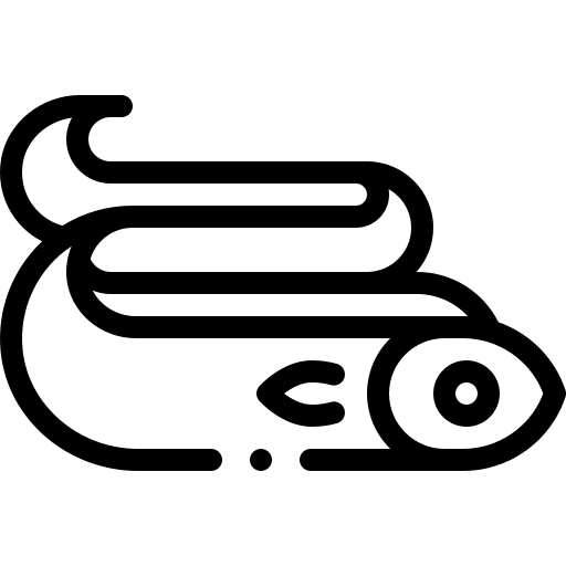 Eel animal kingdom sea life animals icon