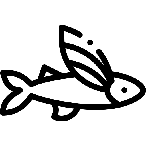 Flying fish aquarium animals sea life icon