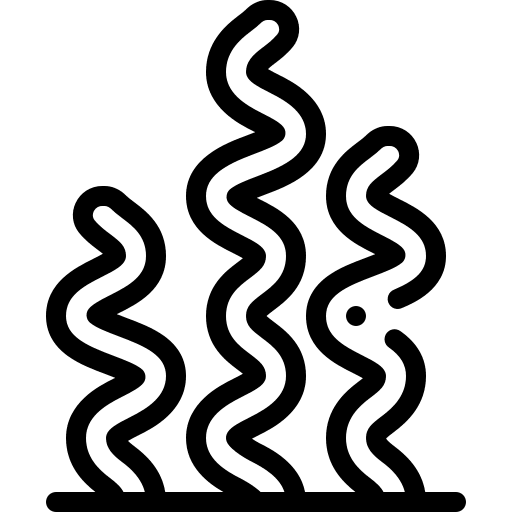 Seaweed seaweed sea life nature icon