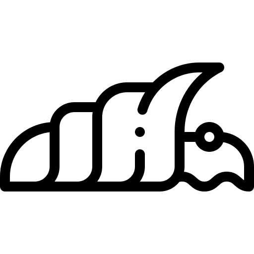 Shell aquatic snail shell icon