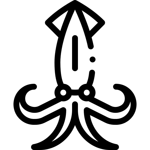 Squid squid cephalopods invertebrate icon