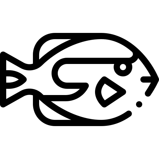 Surgeon fish animals aquarium animal icon