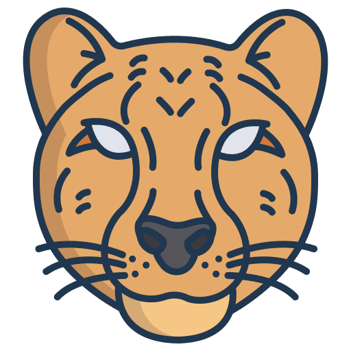 Cheetah feline animal kingdom mammal icon