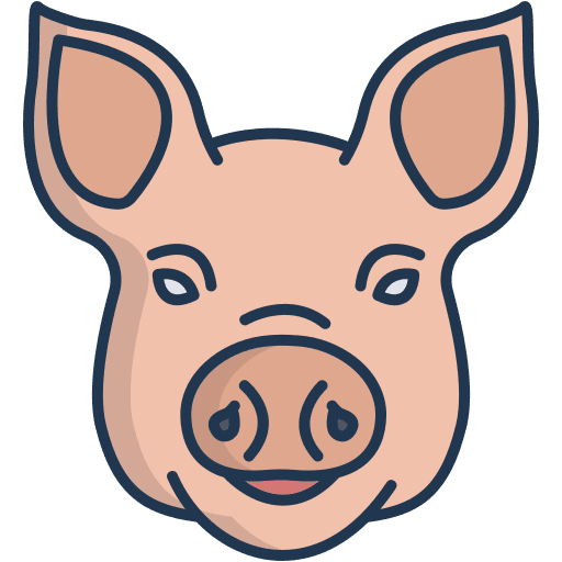 Pig farm pork animals icon