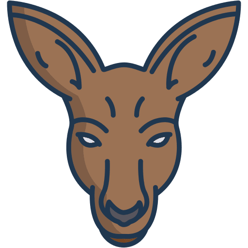 Kangaroo marsupial animals wild life icon