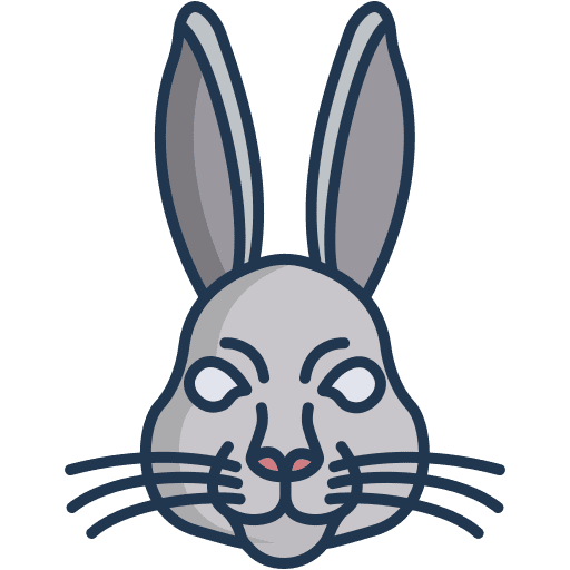 Rabbit bunny mammal pet icon