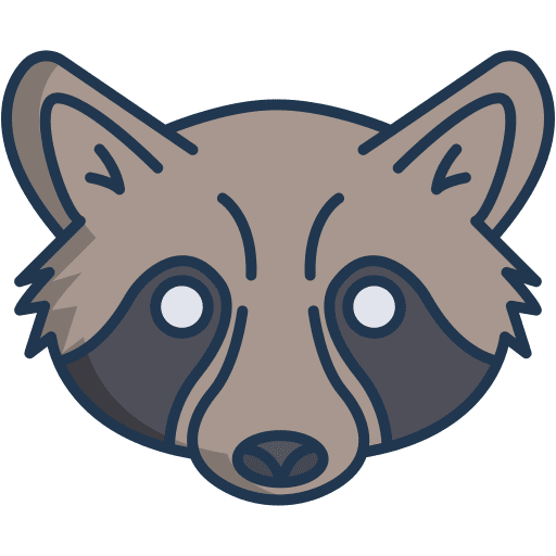 Raccoon wildlife mammal raccoon icon