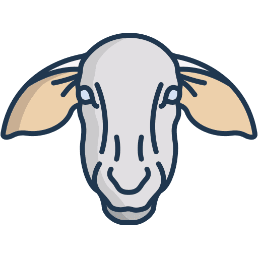 Sheep farming and gardening sheep lamb icon