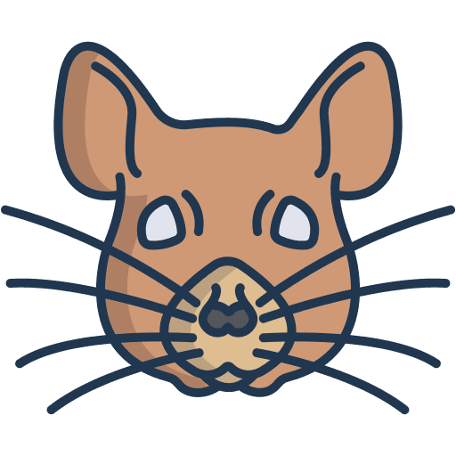 Squirrel animals rodent nature icon