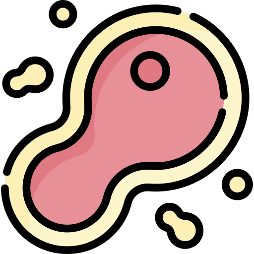 Cell division mitosis stem cell biology icon