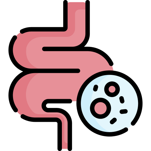 Guts guts intestine body organ icon