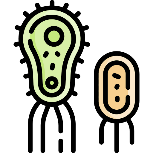 Microbe education microorganism bacterium icon