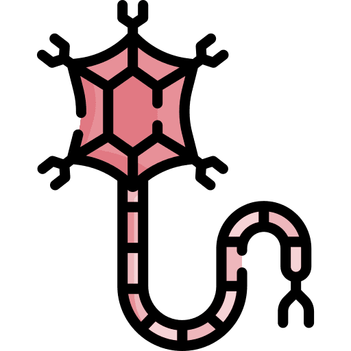 Neuron human body brain neuron icon