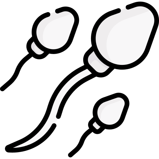 Sperm fertilization reproductive system healthcare and medical icon