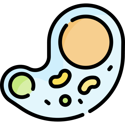 Amoeba biology education amoeba icon
