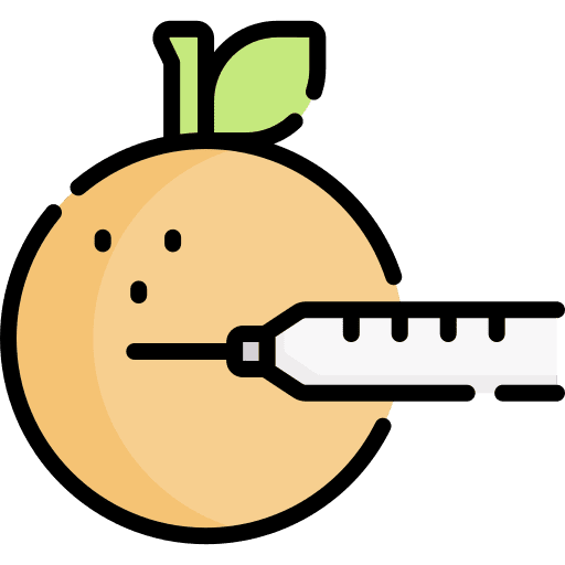 Gmo gmo fruit orange icon