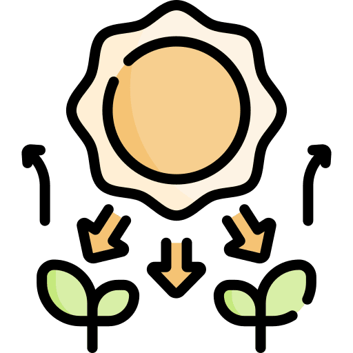 Photosynthesis photosynthesis science education icon