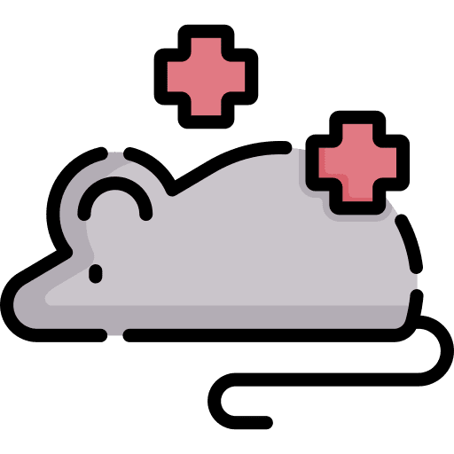 Rat experiment lab rodent icon