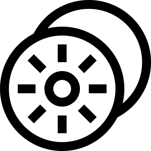 Kiwi diet organic vegetarian icon