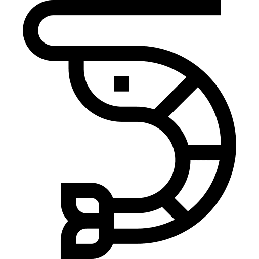 Shrimp prawn seafood animal icon