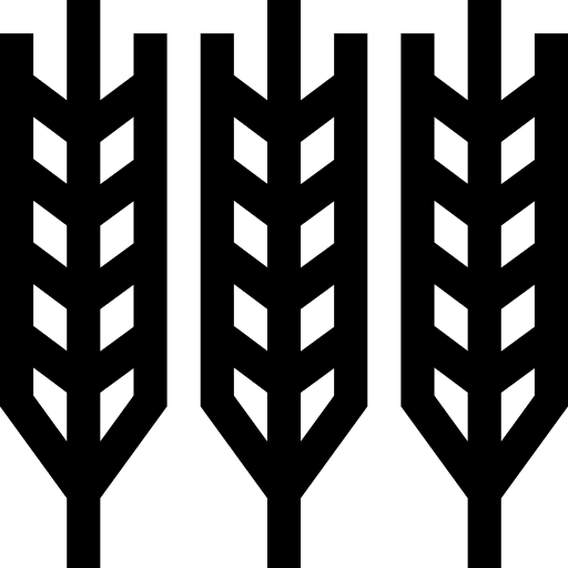 Wheat rice grain branch icon