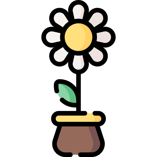 Daisy spring garden flower icon