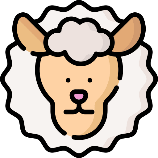 Sheep animals wildlife zoology icon