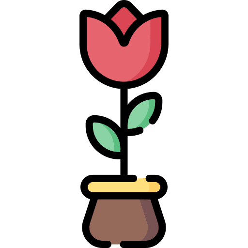 Tulip springtime petals blossom icon
