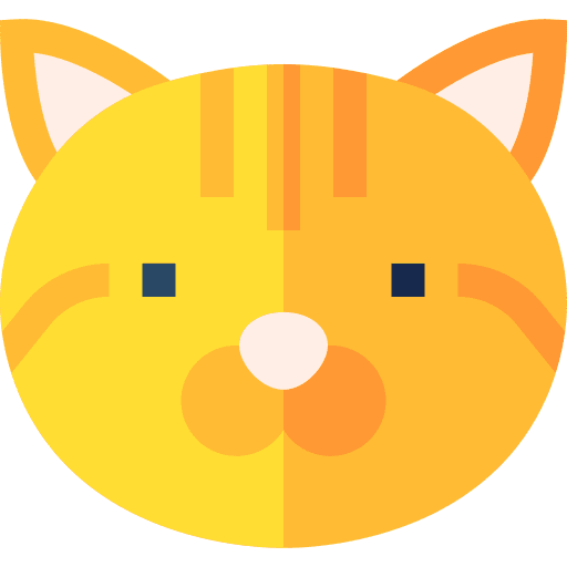 Cat mammal cat pet icon