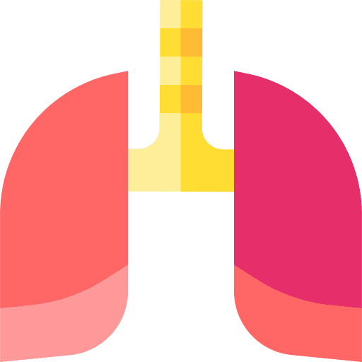 Lungs lungs hospital health icon