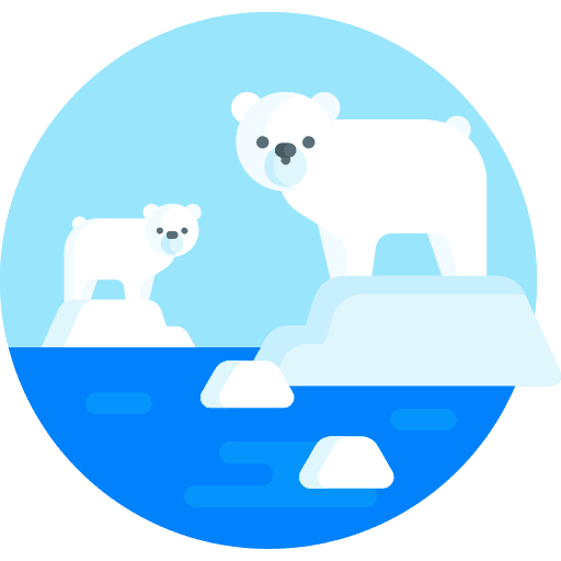 Polar bear ecology and environment melt glacier icon