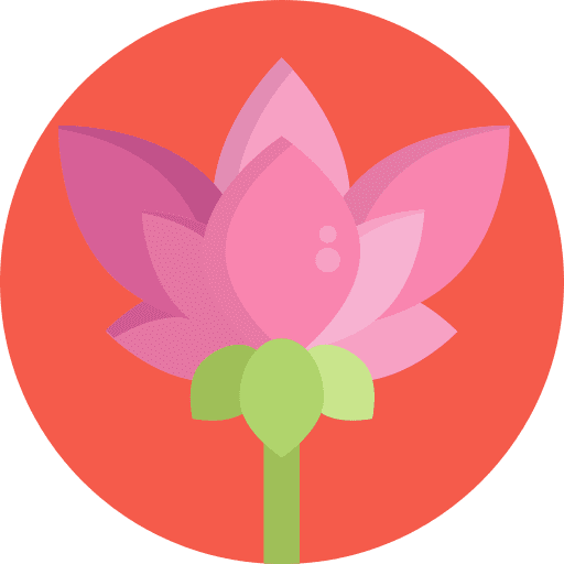 Flower petals cultures holidays icon