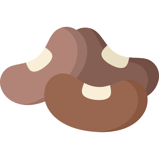 Beans organic vegetarian legume icon