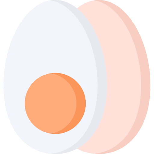 Egg protein healthy food egg icon