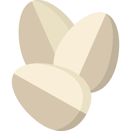 Oat oat ingredient organic icon