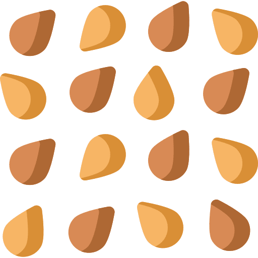 Sesame vegetarian organic diet icon
