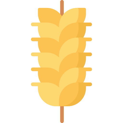 Wheat wheat malt botanical icon