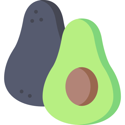 Avocado diet vegan nutrition icon