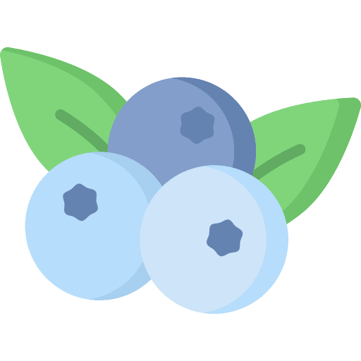Blueberry food and restaurant nature berry icon