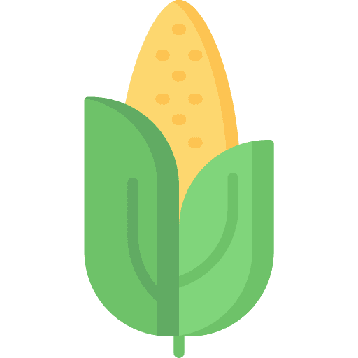 Corn healthy food corn vegan icon