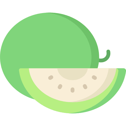 Melon food and restaurant food diet icon