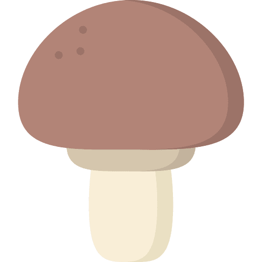 Mushroom healthy food fungi food icon