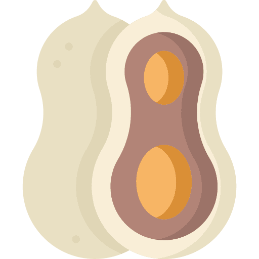 Peanut nut organic peanut icon