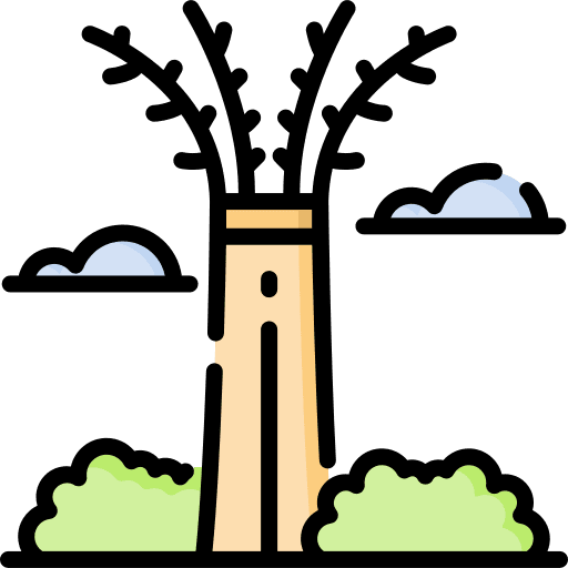 Garden garden park architecture and city icon